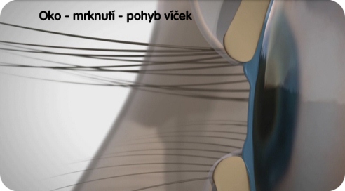 [design/2012/Mrknut%C3%AD%20-%20pohyb%20v%C3%AD%C4%8Dek.jpg]