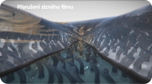 [design/2012/P%C5%99eru%C5%A1en%C3%AD%20slzn%C3%A9ho%20filmu.jpg]