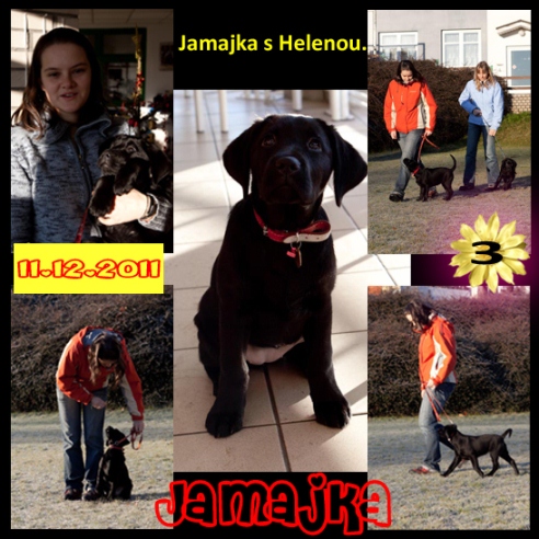 [design/Jamajka/Jamajka%2010%20web.jpg]