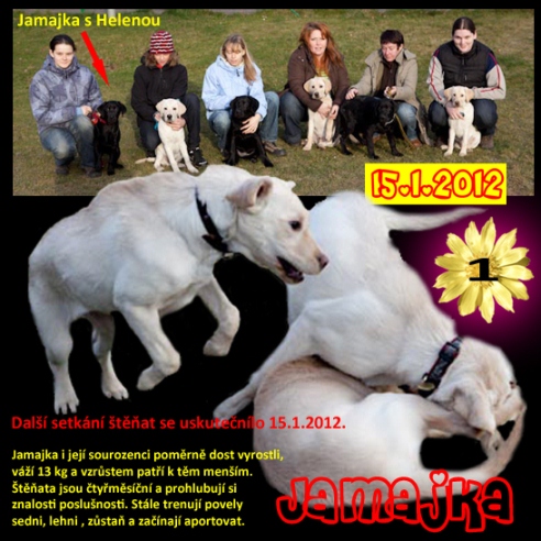 [design/Jamajka/Jamajka%2011.jpg]