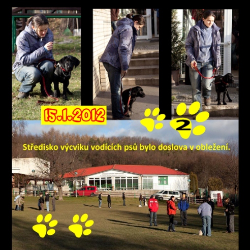 [design/Jamajka/Jamajka%2012.jpg]
