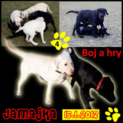 [design/Jamajka/Jamajka%2014.jpg]