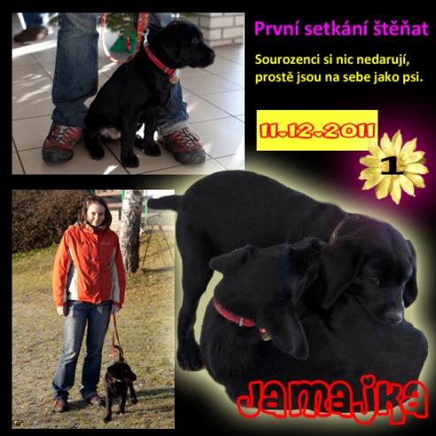 [design/Jamajka/Jamajka%208%20web.jpg]
