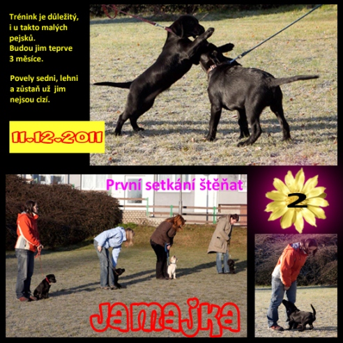 [design/Jamajka/Jamajka%209%20web.jpg]