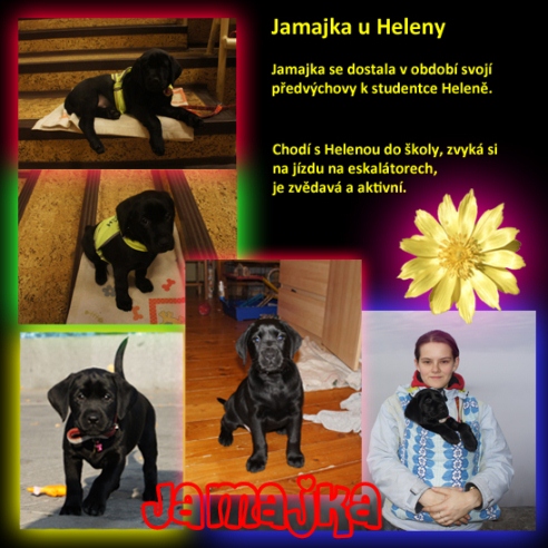[design/Jamajka/Jamajka%20u%20Heleny%20web.jpg]