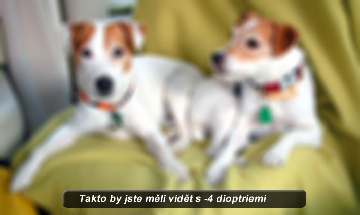 [fotogalerie/jak-vidime/diop-4.jpg]